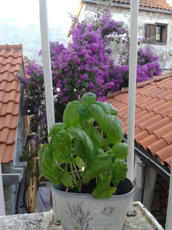 Apartments Milion كورتْشولا الغرفة الصورة